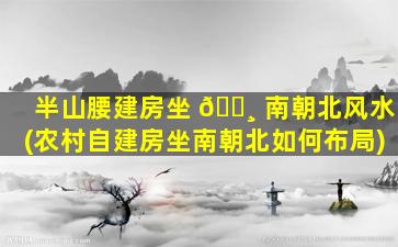 半山腰建房坐 🕸 南朝北风水(农村自建房坐南朝北如何布局)